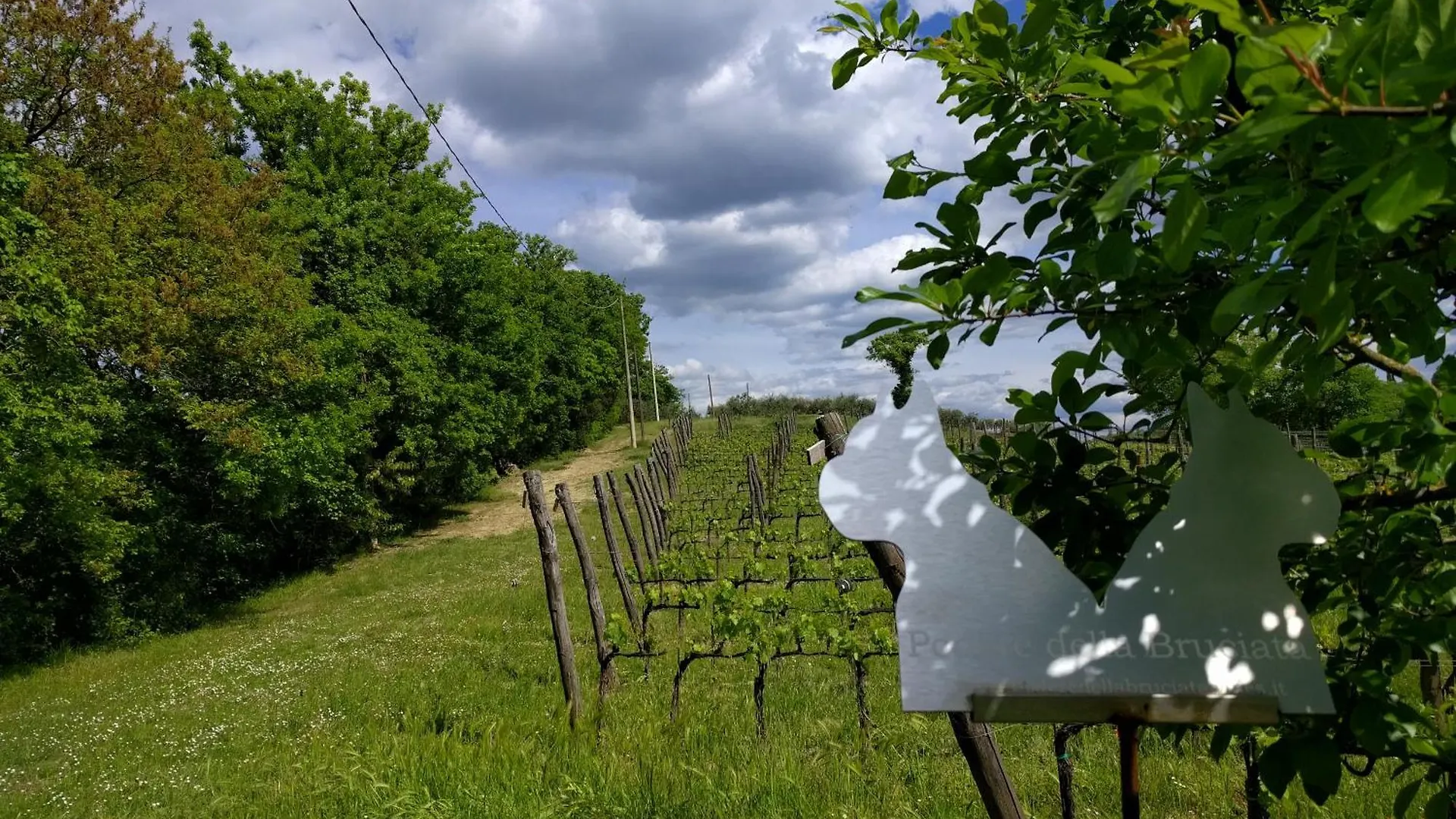 Wild Agriturismo Podere Della Bruciata Chiusi