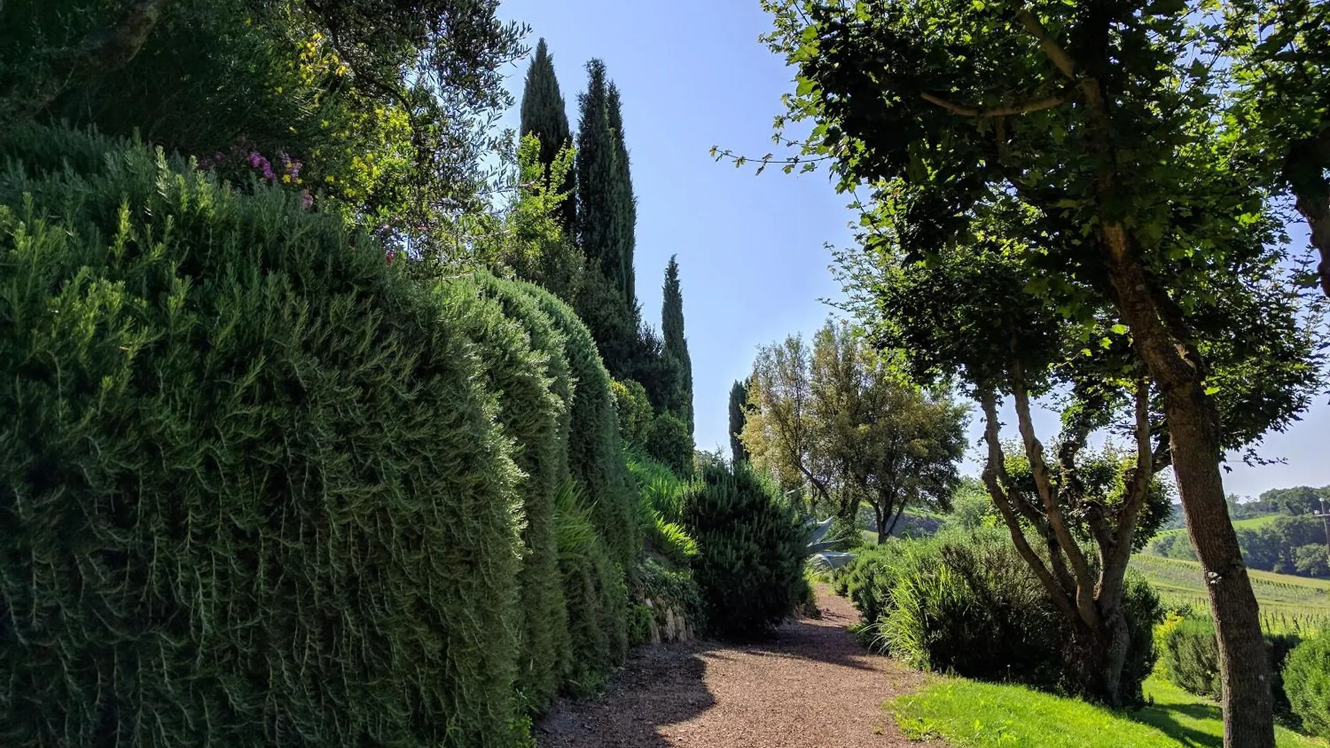 Çiftlik konaklama Wild Agriturismo Podere Della Bruciata Chiusi