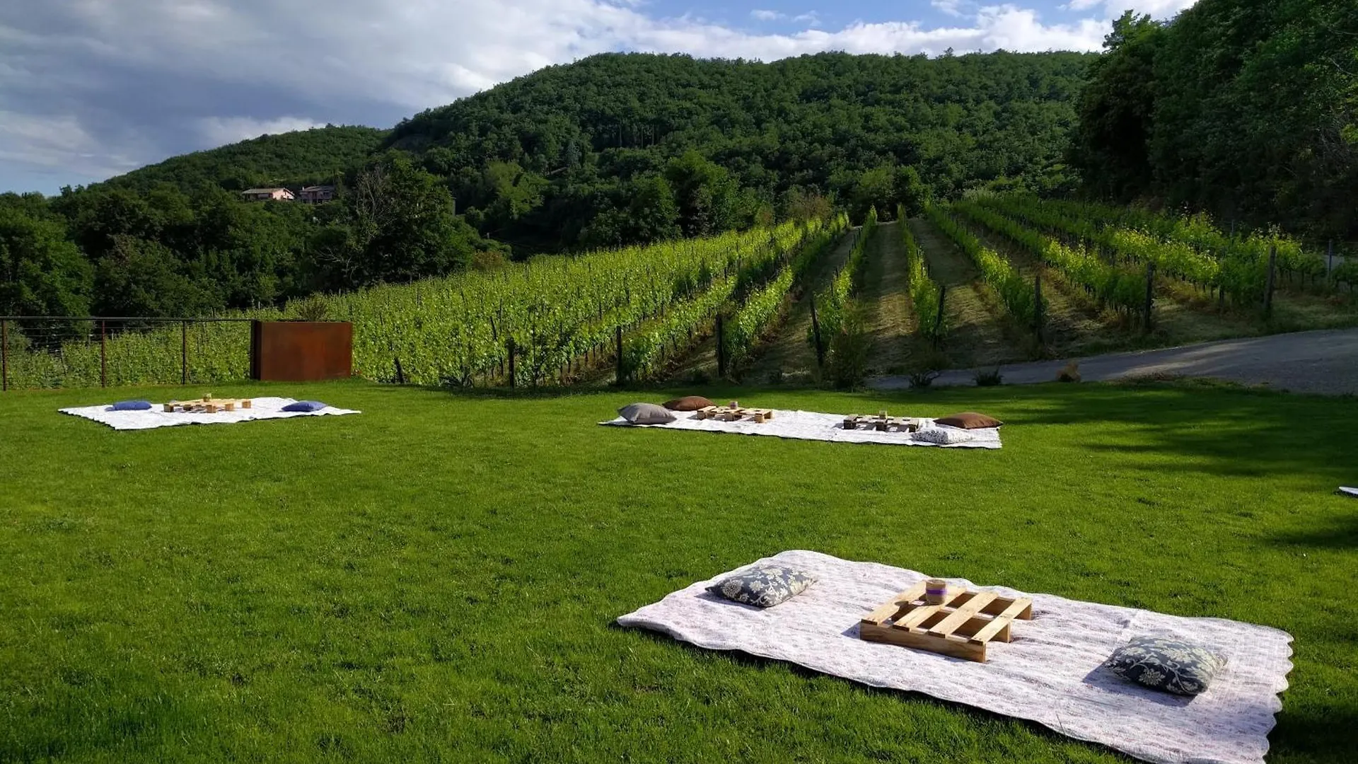 Wild Agriturismo Podere Della Bruciata Chiusi